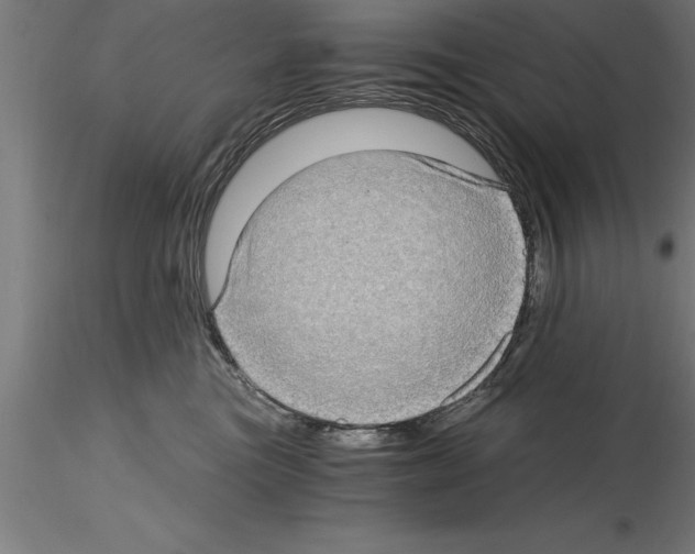 X0000115280473200912111230