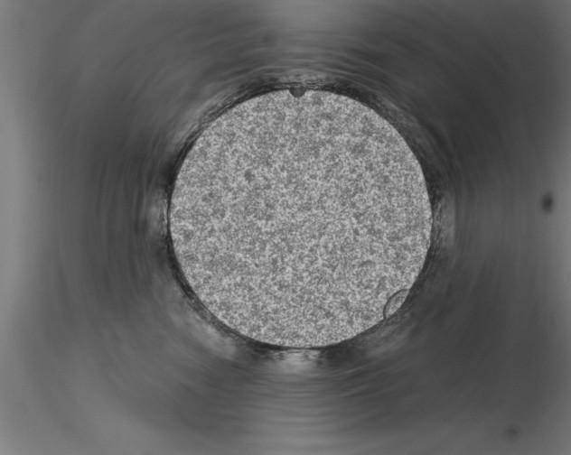 X0000115280474200912111230