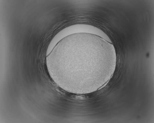 X0000115280475200912111230