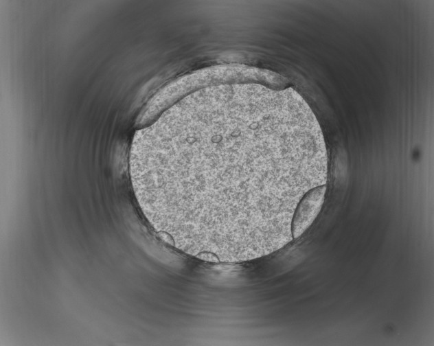 X0000115280478200912111230