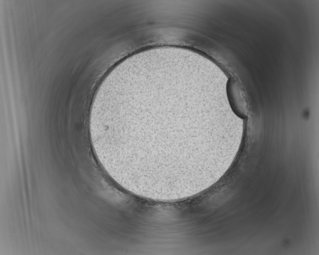 X0000115280481200912111229