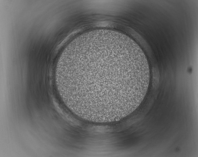 X0000115280482200912111229