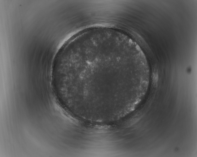 X0000115280484200912111229