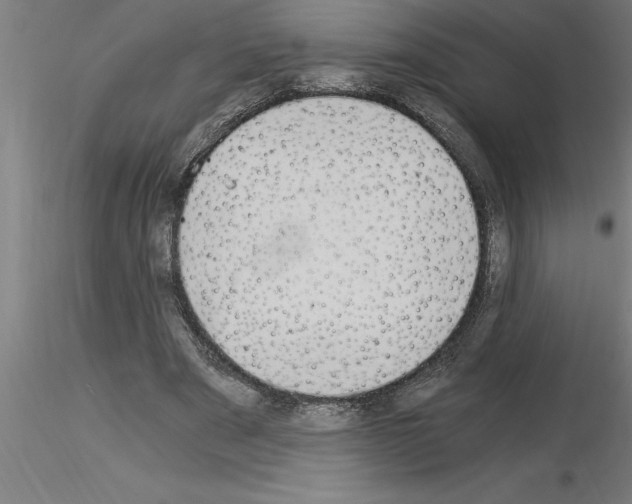 X0000115280489200912111229