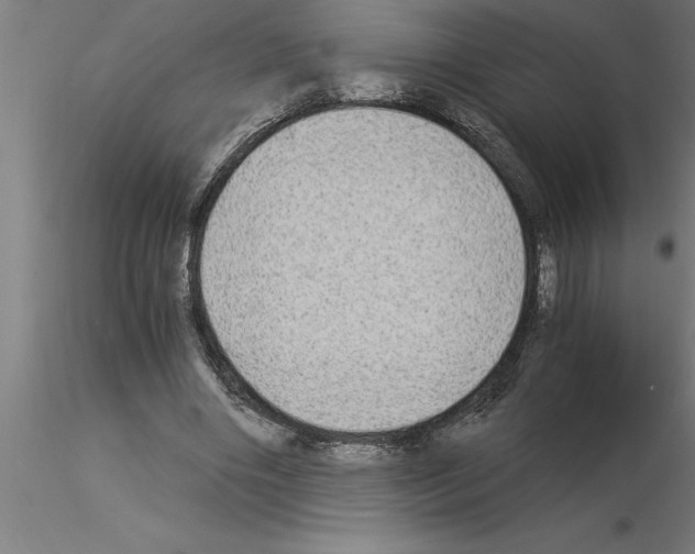 X0000115280490200912111229