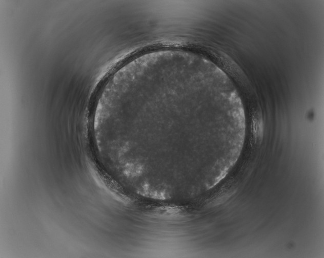 X0000115280492200912111229