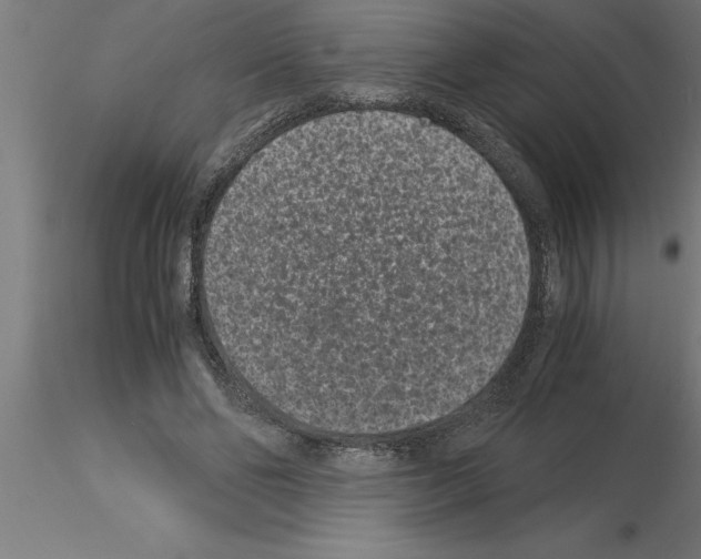 X0000115280494200912111229