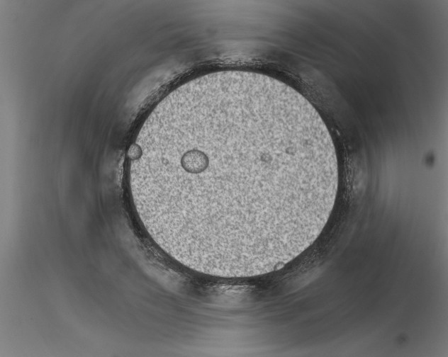 X0000115280495200912111229