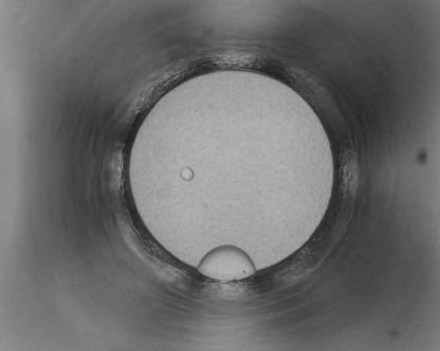 X0000115280498200912111229