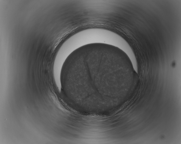 X0000115280500200912111229