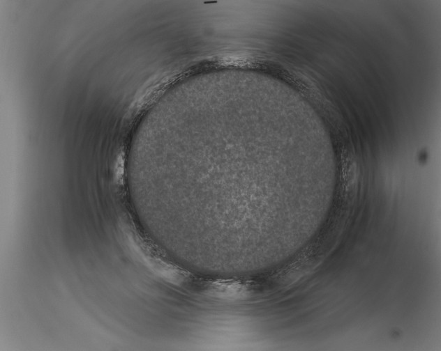 X0000115280502200912111229