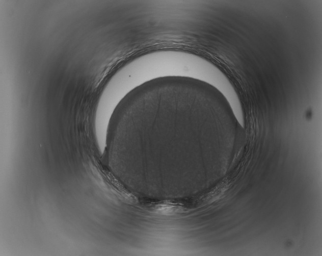 X0000115280504200912111229