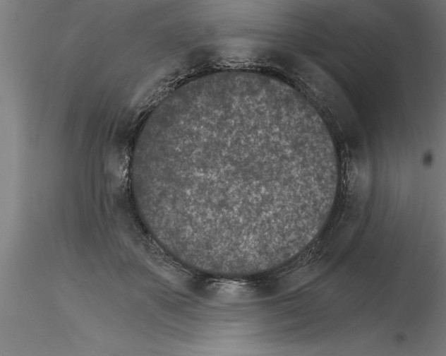 X0000115280507200912111229