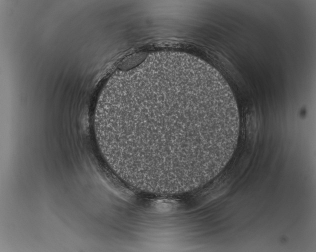 X0000115280508200912111229