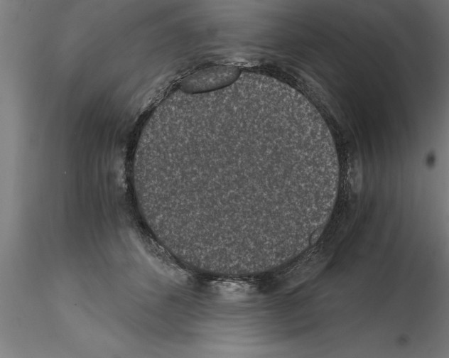 X0000115280512200912111229