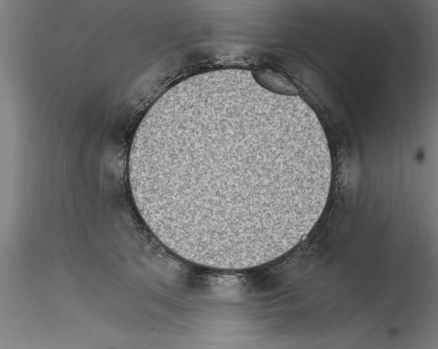 X0000115280513200912111229