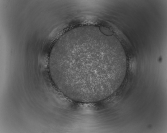 X0000115280517200912111229