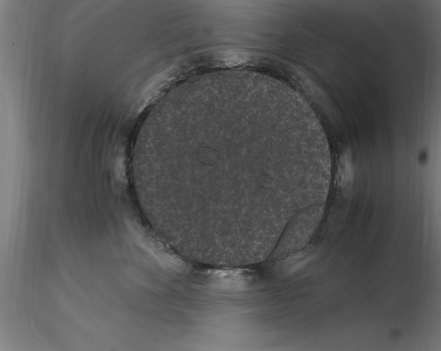 X0000115280524200912111229