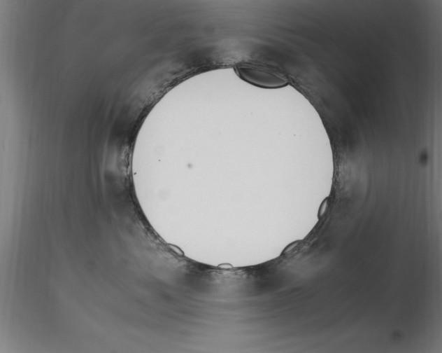 X0000115280525200912111229