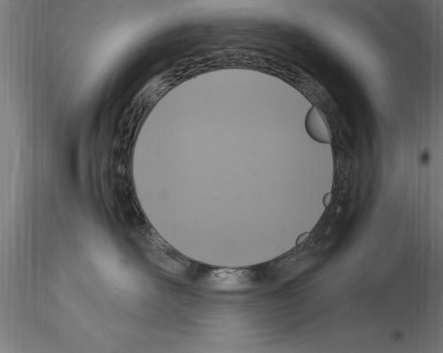 X0000115280526200912111229