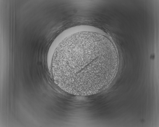 X0000115280528200912111229