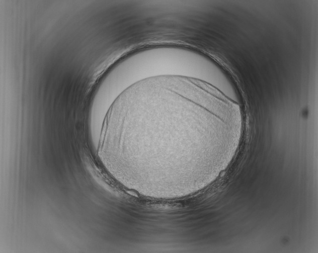 X0000115280533200912111228