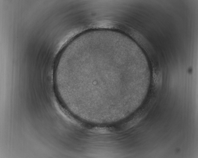 X0000115280534200912111228