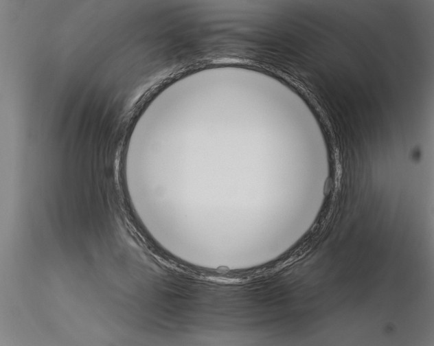 X0000115280539200912111228