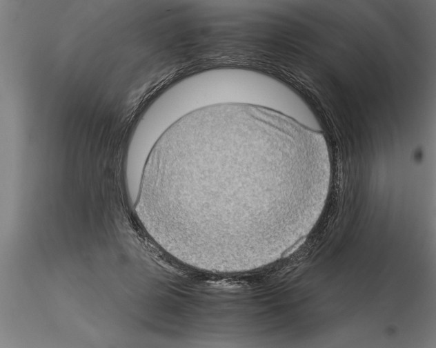 X0000115280545200912111228