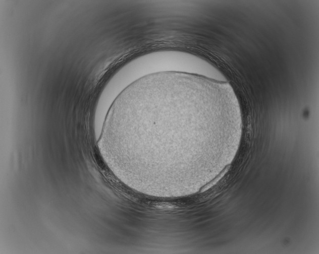 X0000115280547200912111228