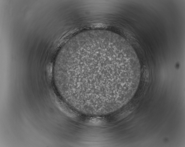 X0000115280550200912111228