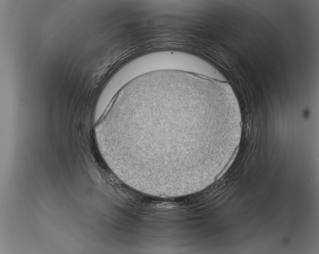 X0000115280551200912111228