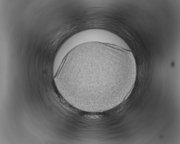 X0000115280553200912111228