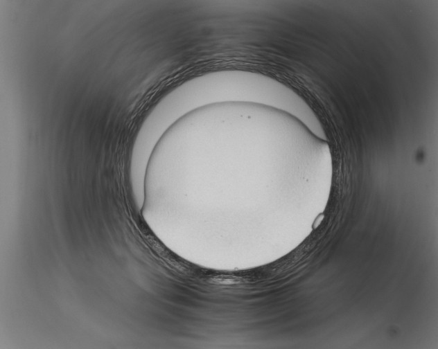 X0000115280557200912111228