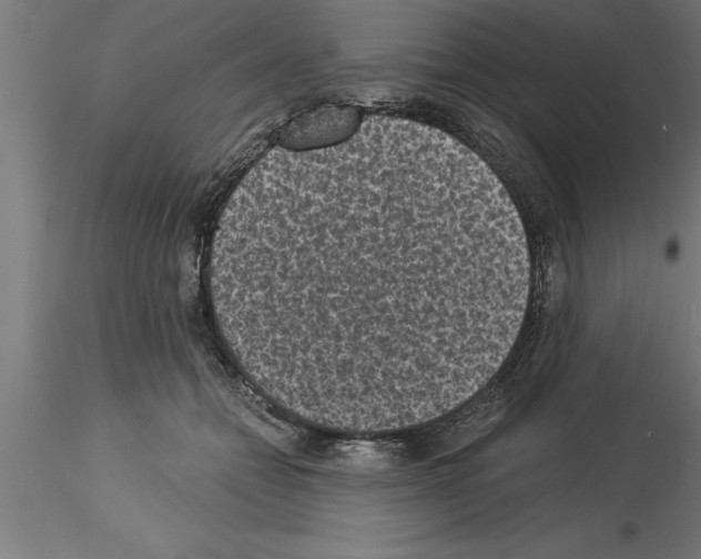 X0000115280558200912111228