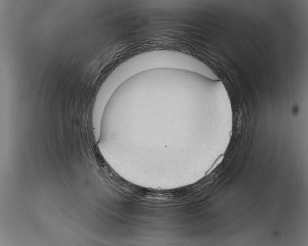 X0000115280559200912111228