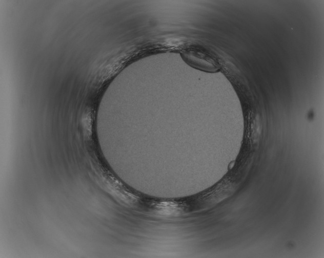 X0000115280562200912111229