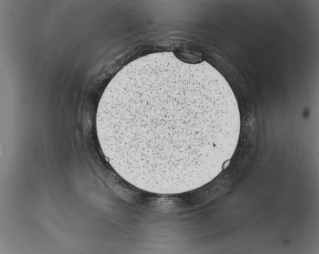 X0000115280566200912111229