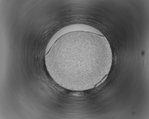 X0000115280567200912111229