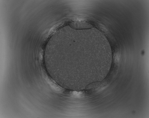 X0000115280570200912111229