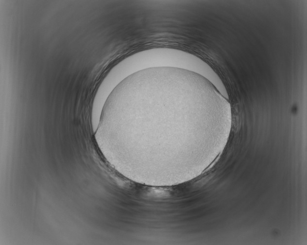 X0000115280573200912111229