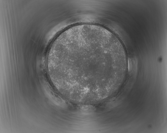 X0000115280579200912111228