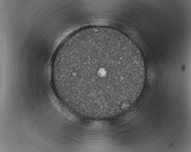 X0000115280584200912111228