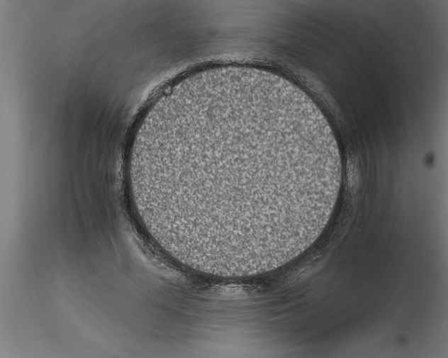 X0000115280588200912111228