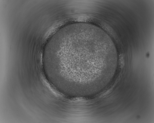 X0000115280589200912111228