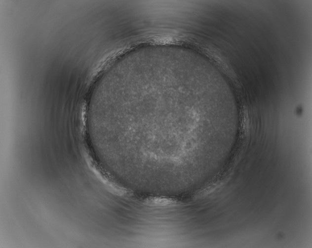 X0000115280590200912111228