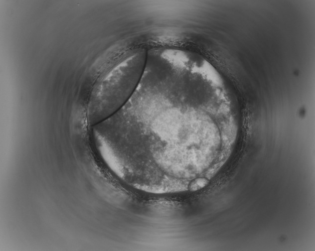 X0000115280593200912111228