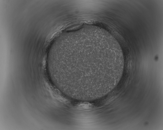 X0000115280595200912111228