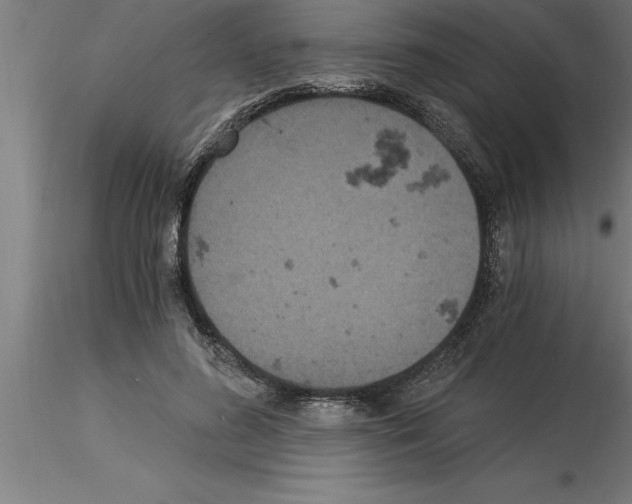 X0000115280596200912111228