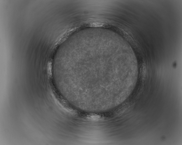 X0000115280598200912111228